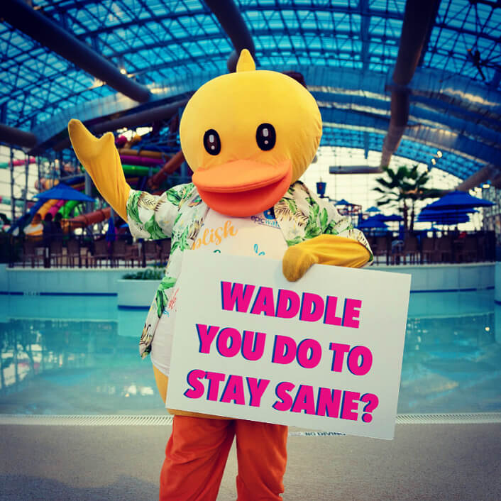 waddle-you-do-to-stay-sane-ducky Waddle You Do To Stay Sane Ducky